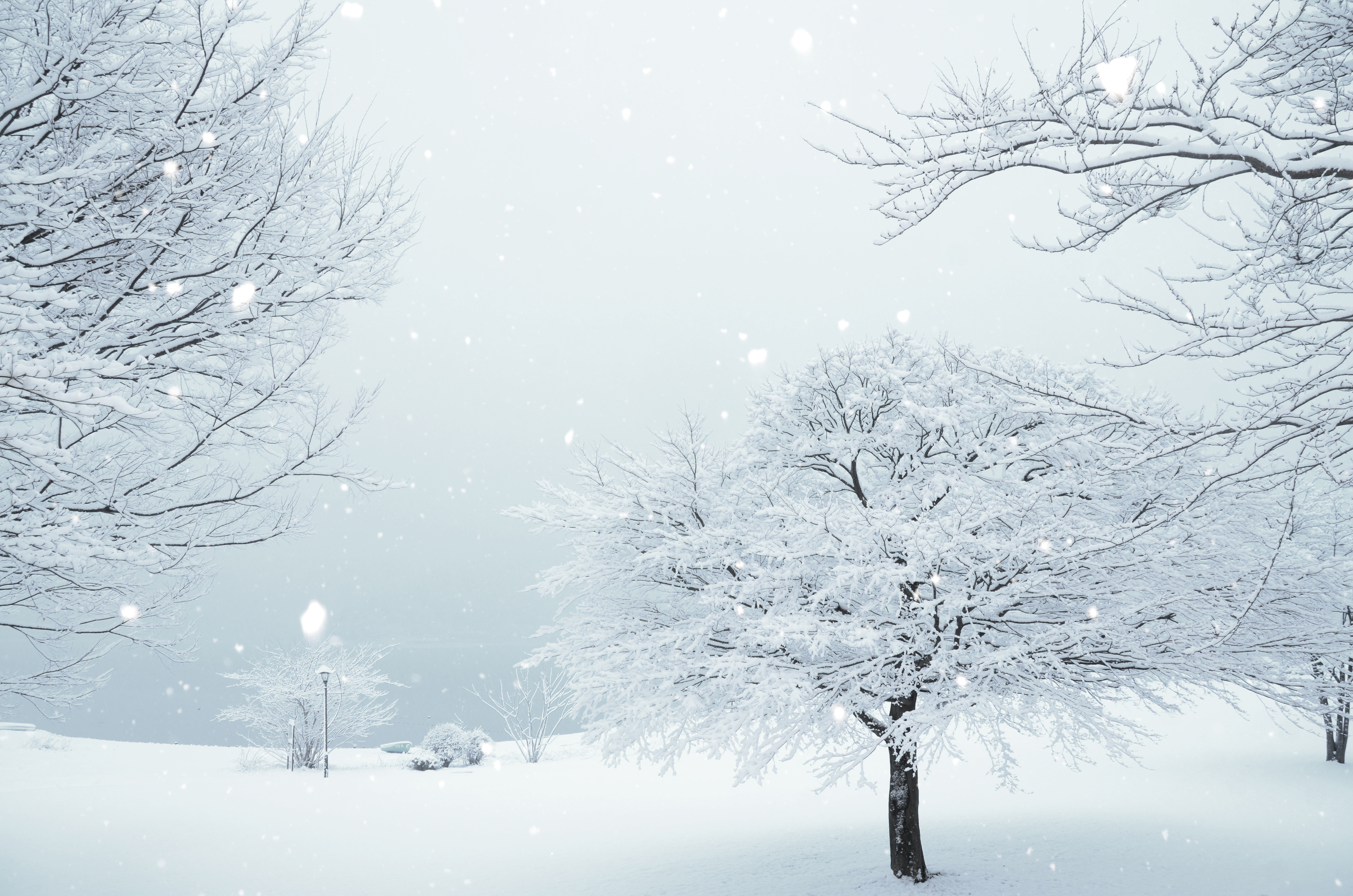 大雪によって起こる被害と雪崩の原因、それぞれの備えについて解説