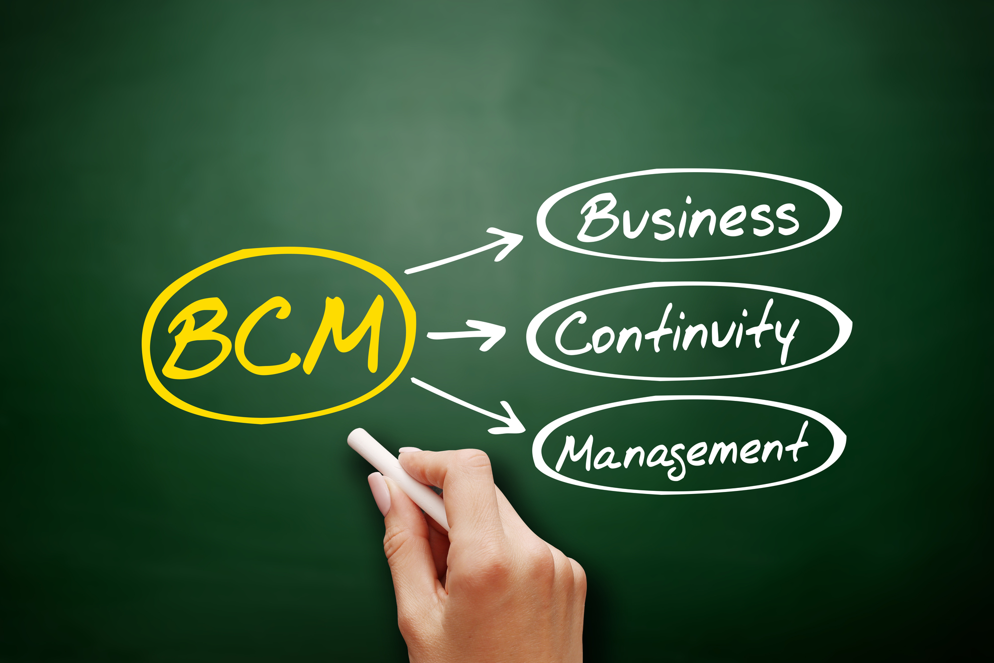 BCMとは？BCPやBCMSとの違い、構築の方法を解説